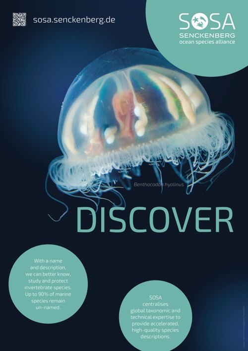 Poster: Discover