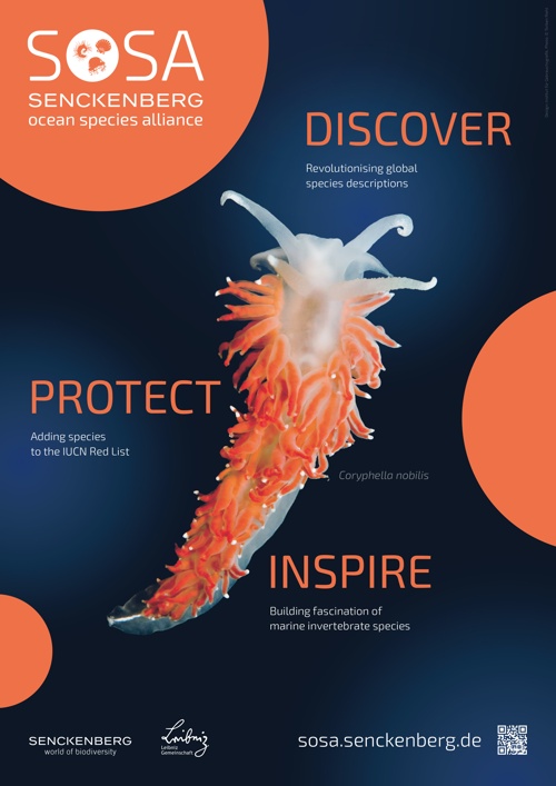 Poster: SOSA – Discover Protect Inspire (Orange)