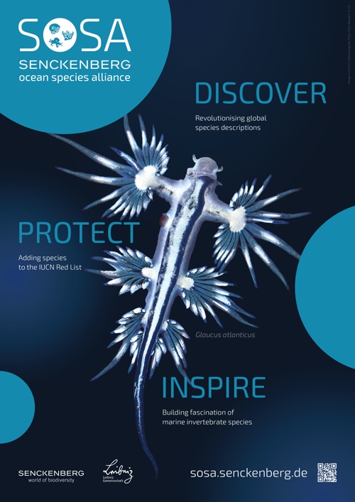 Poster: SOSA – Discover Protect Inspire (Blau)