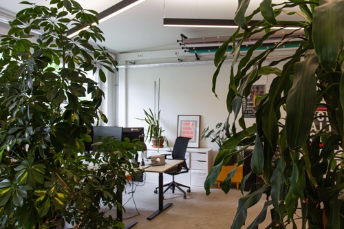 View of plants and workplaces in the institute