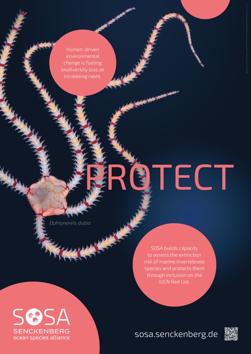 Poster: Protect