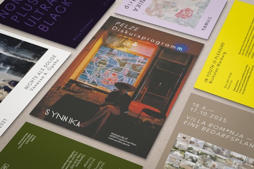 Teaser image of the project »Synnika«